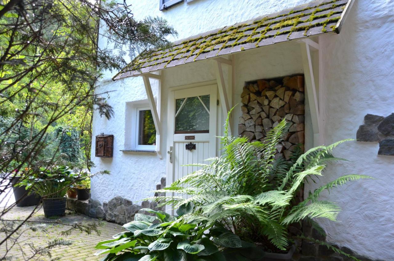 Birgits Landhaus Willingen Виллинген Экстерьер фото